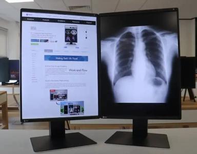 Eizo RadiForce RX360 22.00 Inches 60 Hz IPS LCD [Monitor]